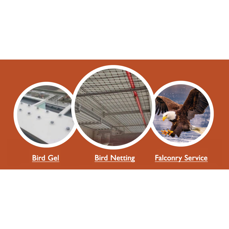Bird Control Measures for Various Types of Factories | 3 Comprehensive Bird Damage Control Solutions